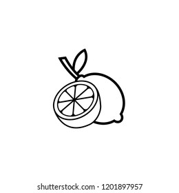 Vector black and white line art lemon lime logo design template. Concept design element and icon in linear style. lemon lime isolated cartoon illustration.