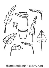 Vector black and white line illustration of houseplants. Hand Drawing sketch of different leaves with a pot