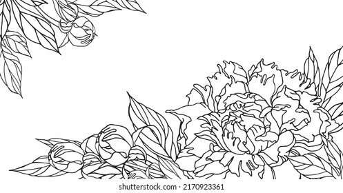 Vector black and white linear floral corners from peony flower, buds, leaves. Decorative elements for summer holiday design of card, poster, invitation.