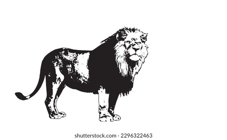 Vector black and white lion for logos and symbols.