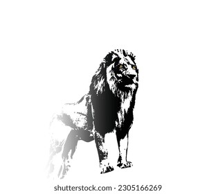 Vector black and white lion for logos and symbols.