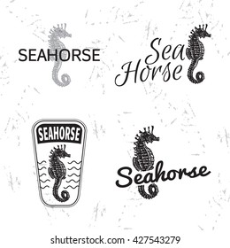 Vector black and white logo set with sea Horse. The sea Horse as main element of logotypes on white background