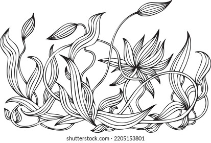 Vector black and white lotus pattern
