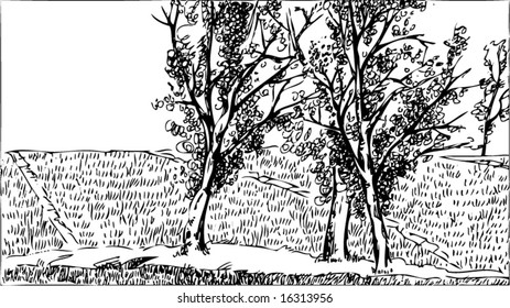 Vector of Black and white nature paint