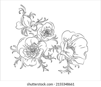 Dibujo vectorial en blanco y negro de la anémona.