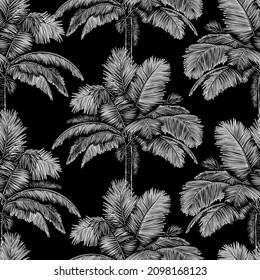 Patrón transparente de árbol de palma blanco y negro vectorial