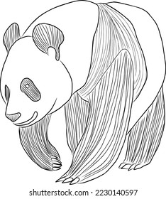 vector black and white panda sketch illustration