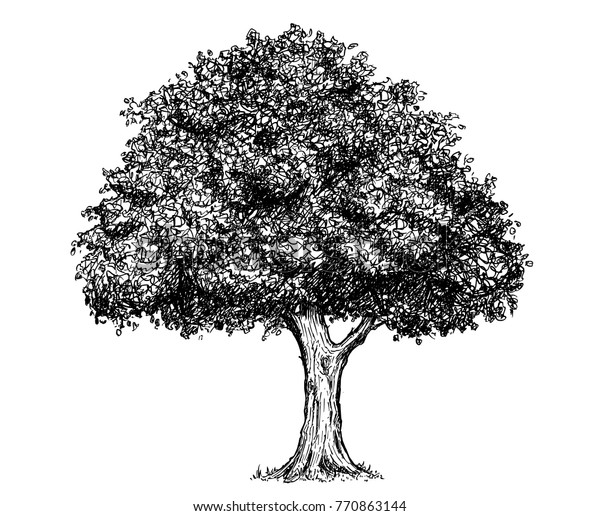√ Artistic Tree Ink Drawing - Popular Century
 Gnarled Tree Tattoo