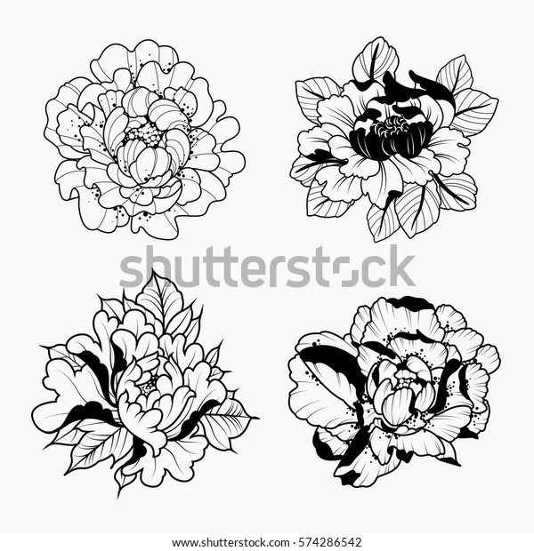 Vector Black White Peonies Set Traditional Stock Image