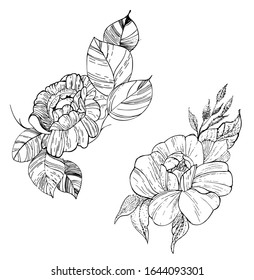 Piel y hojas de vectores negros y blancos. Disposición floral aislada sobre fondo blanco. Tarjeta de saludo de elemento, invitación, boda, cumpleaños, Día de San Valentín, Día de la madre. Ilustración de material vectorial