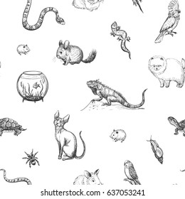 Vector black and white pet shop pattern.  Hand-drawn animals on a white background