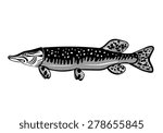 Vector Black and White Pike Fish Illustration