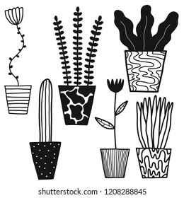 Vector black and white plants and cactus  set