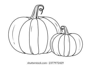 Vector black and white pumpkins  isolated on white background Vintage style vegetable design element Farm gardening cooking dessert and halloween concept retro style realistic pumpkins collection.