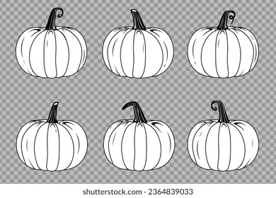 Vector black and white pumpkins set collection isolated on transparent background Vintage style vegetables design elements Farm gardening cooking dessert and halloween concept retro realistic pumpkins