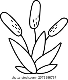 Vector black and white reeds icon. Cute line marsh or swamp plant illustration isolated on white background. Water plant clipart. Cattails or bulrush greenery coloring page