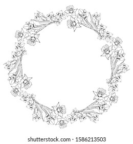 Vector black and white round spring mandala with adult daffodils flowers coloring book page. Vector black and white round round spring mandala.