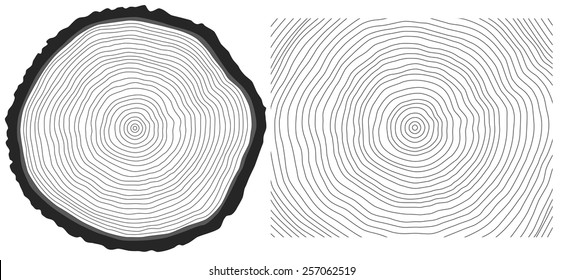 Vector black and white saw cut pine tree trunk and tree rings background