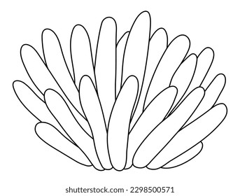 Icono vectorial de anémona marina blanca y negra. Bajo la línea del mar se encuentran las algas de actinia lindas. Clipart de la planta oceánica. Dibujo de dibujos animados subacuáticos o marinos, página de color para niños
