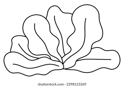 Vector black and white seaweeds icon. Under the sea line illustration with cute kelp. Ocean plant clipart. Cartoon underwater or marine clip art or coloring page for children
