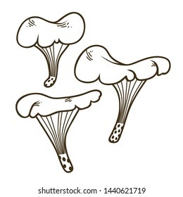 Vector black and white set of cartoon mushrooms for children illustration. Isolated toadstools on white background for coloring 