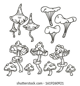Vector black and white set of cartoon mushrooms for children illustration. Isolated toadstools on white background for coloring 
