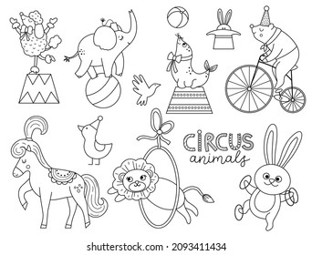 Conjunto vectorial blanco y negro con animales de circo. Paquete de iconos de la línea de vacaciones de diversión. Los graciosos personajes del festival son los protagonistas. Comediantes de espectáculos callejeros coloreando la página con elefantes, oso en bicicleta, león
