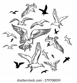 Vector Black and White Set of contour and silhouette seagulls