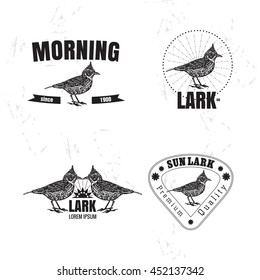 Vector black and white set with desert Crested lark bird. The lark bird as main element of logotypes on white background. Engraves vector design graphic element, emblem, logo, sign, identity, logotype