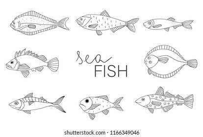 Vector black and white set of fish isolated on white background. Monochrome collection of halibut, rock-fish, mackerel, herring, flatfish, sprat, grouper, cod. Underwater illustration
