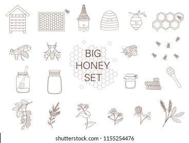 Vector black and white set of honey, bee, bumblebee, beehive, wasp, apiary, meadow flowers, honeycombs, propolis, jar, spoon. Monochrome honey collection isolated on white background
