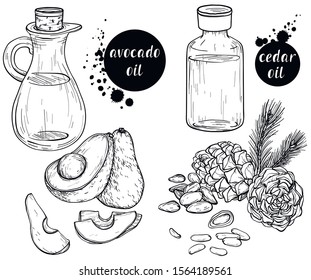 Vector Black and white set of Organic ingredients for cosmetic care oils. Cedar and avocado oils. Use for cosmetic products