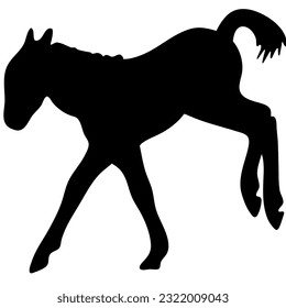 Vector black and white silhouette ready to print: a cute horse foal, moving pose