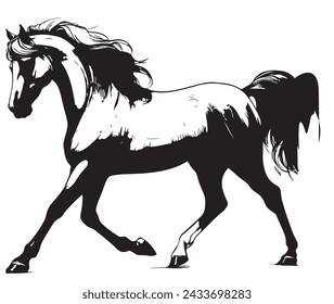 Silueta vectorial en blanco y negro en estilo de pluma dura simple, listo para imprimir: Majestic doma caballo árabe