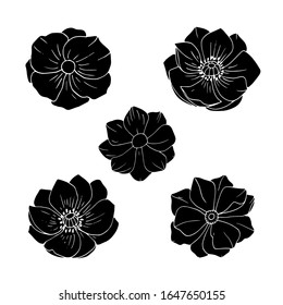 Vector black and white silhouettes of anemone flowers. Isolated objects on a white background.