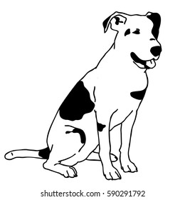 Vector black and white sitting dog. Smart and darling doggy. Man's best friend. Outlined cute dog. Crafty and sly doggie. Flatten isolated master illustration.