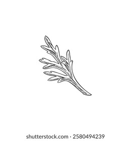 Vector black and white sketch of bitter wormwood branch, hand drawn. Illustration of medicinal organic plant. Outline vintage style. Botany, medicine theme. Decoration or ingredient.