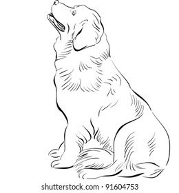 Vector Black And White Sketch Of The Dog Newfoundland Breed Sitting