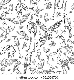 Vector black and white sketch set drawn by hand. Seamless pattern exotic tropical birds and flowers. Isolated outline drawing variety of flamingos, parrots and hummingbirds in flight and on branch.