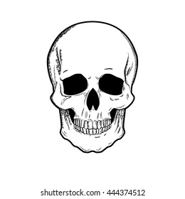 Vector black and white sketch of a skull tattoo