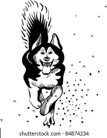 vector black and white sketch of a sled dog Alaskan malamute running in the snow tongue hanging out