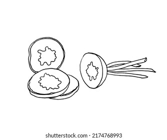 Vector black and white sketch of sliced radish in the style of doodles.