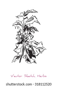 A vector black and white sketch of a tree branch (Viburnum), initially hand drawn in Chinese ink; it is also looking like European Holly (Ilex aquifolium), one of the Christmas traditional symbols