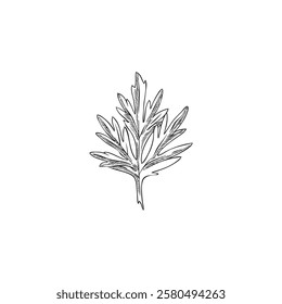 Vector black and white sketch of wormwood leaf on isolated background. Hand drawn. Organic natural element for botany, medicine, aromatherapy themes. Outline vintage style.