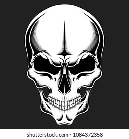 Vector black and white skull