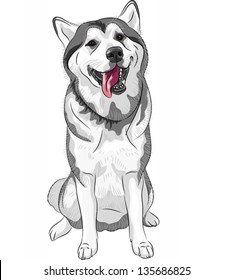 Vector black and white sled dog Siberian Husky sitting and smiling, tongue hanging out