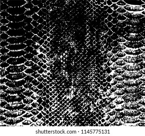 Vector Black White Snake Skin Background Stock Vector (Royalty Free ...