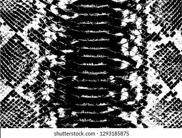 Vector black and white snake skin background
