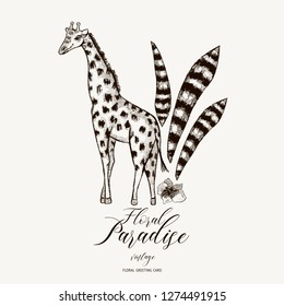 Vector black and white spring greeting card, vintage jungle illustration, Natural Exotic Tropical template with leaves and giraffe
