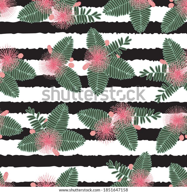 Vector black and white stripes touch me not\
shameplant floral bunches seamless pattern. Perfect for fabric,\
scrapbooking and wallpaper\
projects.